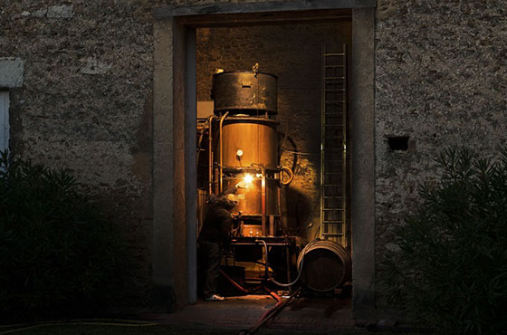 Casterede-Armagnac-Distillery-5